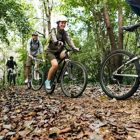 Cosy Vue & Nature Durbuy